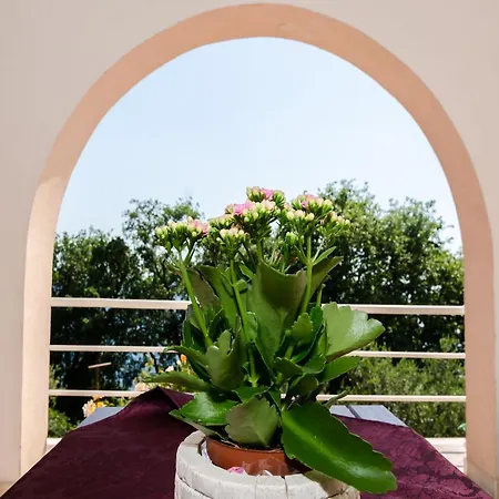 Barbara - Comfort With Terrace And Sea View Br 1