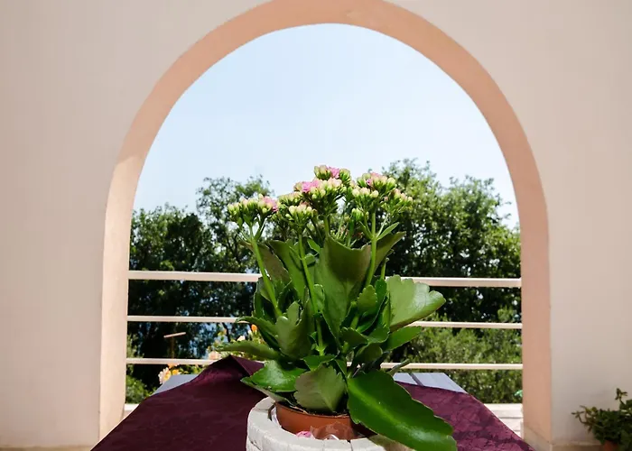 Barbara - Comfort With Terrace And Sea View Br 1