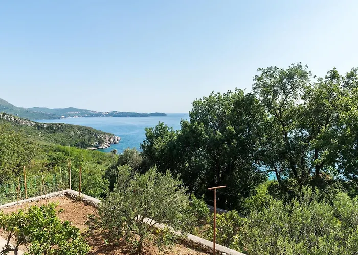 Barbara - Comfort With Terrace And Sea View Br 1 아파트